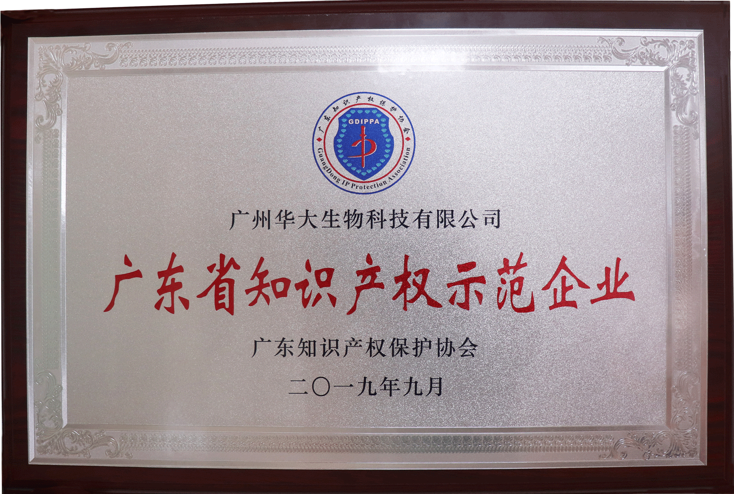 廣東省知識產權示范企業(yè).png